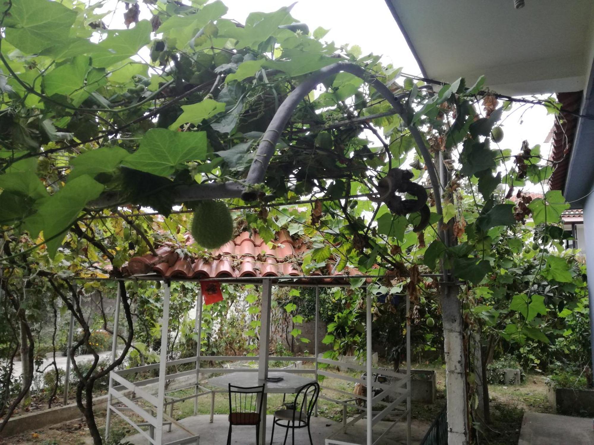 Villa Osmani Durres Luaran gambar
